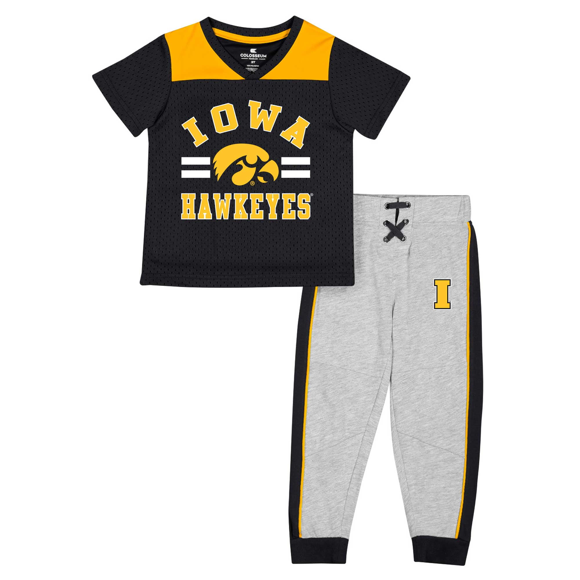 NCAA Iowa Hawkeyes Toddler Long Sleeve T-Shirt - Officially Licensed, Black, Size 2T