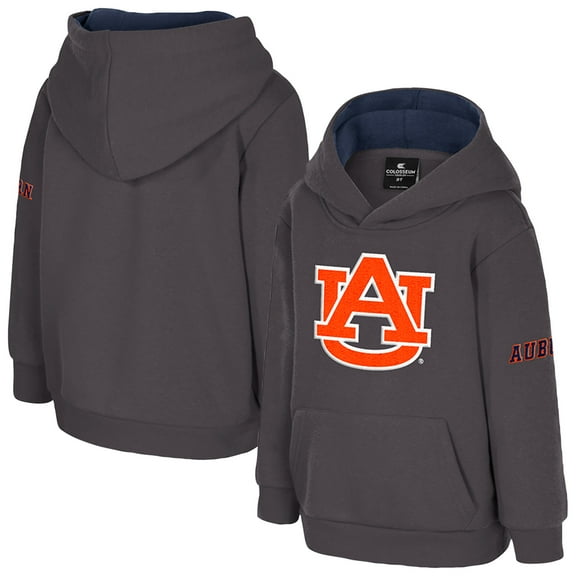 Toddler Colosseum  Charcoal Auburn Tigers Big Logo Volume Fleece Pullover Hoodie