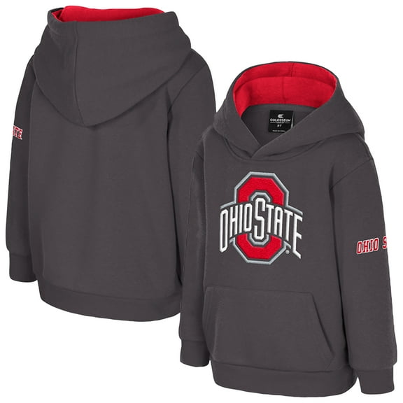 Toddler Colosseum  Charcoal Ohio State Buckeyes Big Logo Volume Fleece Pullover Hoodie