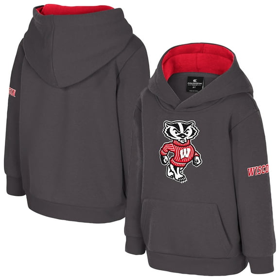 Toddler Colosseum  Charcoal Wisconsin Badgers Big Logo Volume Fleece Pullover Hoodie