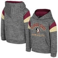 thumbnail image 1 of Toddler Colosseum Gray Florida State Seminoles Wizard City Hoodie, 1 of 3