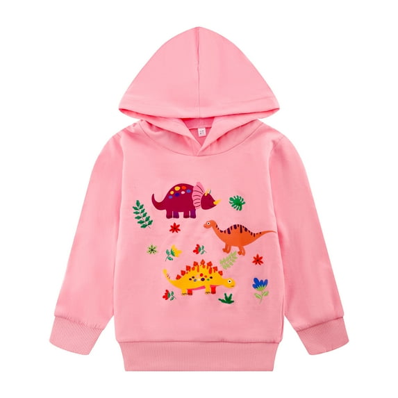 Toddler Crewneck Dinosaur Hoodie Casual Pink Dino Pullover Long Sleeve Cartoon Winter Clothes Tops (8211-2T)