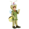 thumbnail image 1 of Toddler Deluxe Disney Princess and the Frog Ray Costume, 1 of 11