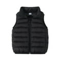 thumbnail image 1 of Toddler Down Vests, Winter Down Coats for Kids Sleeveless Full Zip Puffer Jackets Vests Baby Boys Girls Windproof Padded Jackets Outerwear Black 4T, 1 of 9