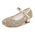thumbnail image 1 of Toddler Flower Girls Dress Shoes Heel Wedding Party Shoes Ballet Dance Princess Glitter Shoes for Little Kid, 1 of 7