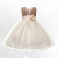 thumbnail image 1 of Toddler Formal Dresses Girls Beige Dress Tulle Flower Girl Dress Birthday Dress Girls Carnival Dresses for Girls 7-8 Years, 1 of 3