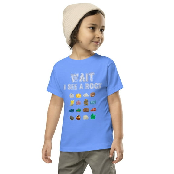 Toddler Funny Rock Hounding Shirt, Rock hounding, Cute gift for kids who love rocks. Rock lover shirt (Heather Columbia Blue, 5T)