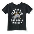 thumbnail image 1 of Toddler Funny T Shirts What A Beautiful Day for A Tantrum Sarcastic Graphic Novelty Tee for Young Kids, 1 of 8