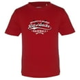 thumbnail image 1 of Toddler Garb Cardinal Arkansas Razorbacks Toni Baseball T-Shirt, 1 of 1