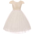 thumbnail image 1 of Toddler Girl Cap Sleeve Sequin Mesh Trim Birthday Pageant Flower Girl Dress USA Off White 2 KD 410 BNY Corner, 1 of 3