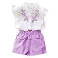 thumbnail image 1 of Toddler Girl Clothes Ruffle Floral Embroidery Shirt and Shorts Set, 1 of 9