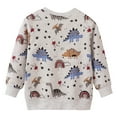 thumbnail image 1 of Baby Girl Fall Outfits 4T Sweatshirt Boys Toddler Sweatshirt Boys Girls Crewneck Pullover Tops Blouse Long Sleeve Cotton T-Shirt Fall Winter Clothes Light Gray 3 Years, 1 of 9