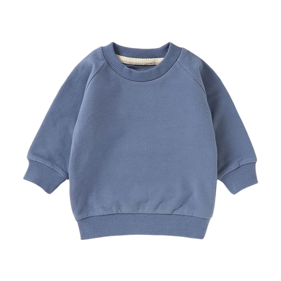 Toddler Girl Crewneck Sweatshirt Raglan Sleeve Long Sleeve Pullover Relaxed Fit Casual Top for Girls (Ages 0-4 Years) School Daily Wear