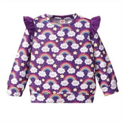 Toddler Girl Sweatshirt Fall Clothes Cute Rainbow Crewneck Pullover 3T (Rainbow-8131)