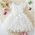 thumbnail image 1 of Toddler Girl Tulle Dress Summer Ruffle Sleeveless Baby Girl Fashion Casual Dresses 1-6Y, 1 of 6