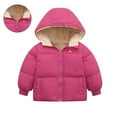 thumbnail image 1 of Toddler Girl Winter Coat Girls Puffer Jacket Zipper Long Sleeve Windproof Jacket Outwear Hooded Jackets Toddler Girls Clothes 2-3 Years, 1 of 3
