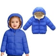 thumbnail image 1 of Toddler Girl Winter Coat Warm Puffer Jackets Kids Fleece Zip up Long Sleeve Kids Warm Winter Coat Outerwear Hooded Jackets Winter Jackets for Boys 3-4 Years, 1 of 5