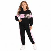 Toddler Girls 2 Piece Cute Outfits Set Leopard Pink Color Block Crewneck Sweatshirt with Jogger Pants Kids Clothing Set 2-3 T deal from Walmart
