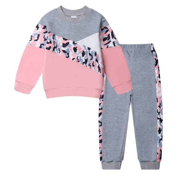 Toddler Girls 2 Piece Cute Outfits Set Pink Leopard Color Block Crewneck Sweatshirt with Jogger Pants Kids Clothing Set 3-4 T