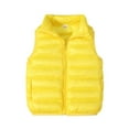 thumbnail image 1 of Toddler Girls' Boys' Cute Jackets & Coats Unisex Baby Vest Stand Up Collar Zip Up Sleeveless Winter Fall Jackets For Boys Girls Size 3-4T, 1 of 4