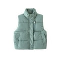 thumbnail image 1 of Toddler Girls Boys Puffer Vest Toddler Winter Vest Stand Collar Lightweight Zip Up Cute Jackets with Sleeveless Winter Down Vest 2-3 Years, 1 of 8