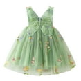 thumbnail image 1 of Toddler Girls Butterfly Dress With Wing Sleeveless Embroider Princess Dress Dance Party Floral Tute Dresses Clothes #Z07 Green 18-24 Months, 1 of 5