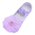 thumbnail image 1 of Toddler Girls Dress Shoes Flower for Weeding Cute Kids Mary Jane Shoes Lace Flore Ballet Flat for Walking, 1 of 3