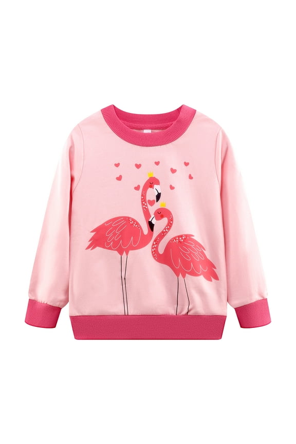 Toddler Girls Flamingo Pullover Sweatshirt Crewneck Long Sleeve Winter Shirt Fall Spring Clothes 3T
