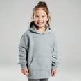 thumbnail image 1 of Toddler Girls Hoodie Long Sleeve Hooded Sweatshirt Top Grey Hoodies kids Fall Winter Clothes Size 3T Girls Clothes, 1 of 4