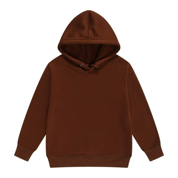 Toddler Girls Hoodies Sweatshirts Long Sleeve Pullover Solid Casual Outerwear Lined Hooded Sweater Clothes Coffee Size 2-3T