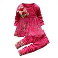 thumbnail image 1 of Toddler Girls Outfits Kids Baby Floral Print Mesh T Shirt Tops Dress Pants 2Pcs Set Girls' Clothing Size 2-3T, 1 of 4