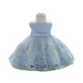 thumbnail image 1 of Toddler Girls Sleeveless Flower Embroidered Tulle Party Dress Elegant Princess Gown for Birthday Wedding Pageant, 1 of 5