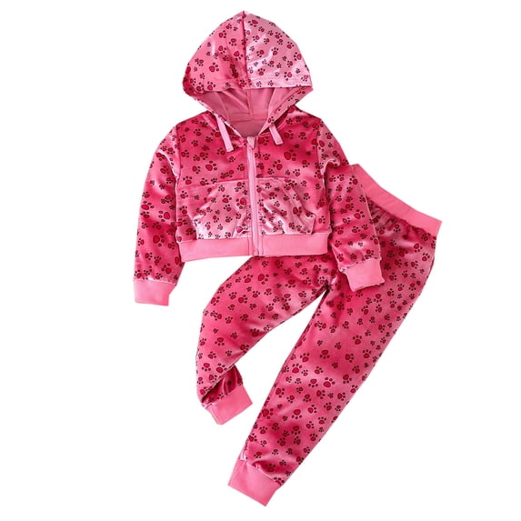 Toddler Girls Sports Winter Long Sleeve Cartoon Prints Hoodie Tops Pants 2PCS Outfits Clothes Set Hot Pink 3 Years-4 Years