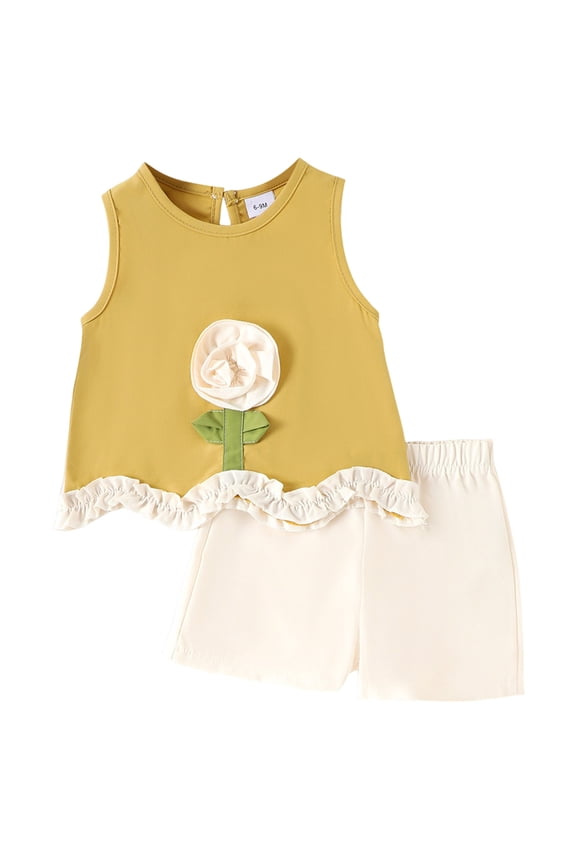 Toddler Girls Summer Outfits Set, 2Pcs Cute Flower Short Sleeve T-Shirt and Pants (1-8Y Gift Set) Summer 2Pcs Gift Outfits Set Girls Summer Set 1-3 Years,2-3 Years