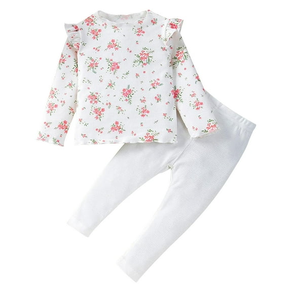 Toddler Girls Summer Outfits Spring And Autumn Baby Leggings Long Pants Set Baby Cute Floral Long Sleeve T Shirt Pants 2 Sets Clothing Set,Size 18 Months-24 Months