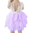thumbnail image 1 of Toddler Girls Tutu Dress Lace top Backless A-line Tulle Flower Girl Dress, 1 of 5