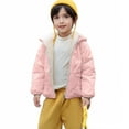 thumbnail image 1 of Toddler Girls Winter Coats Puffer Jacket Zipper Long Sleeve Windproof Down Jacket Warm Hooded Outdoor Coats Jacket for Baby Girl 3-4 Years, 1 of 8