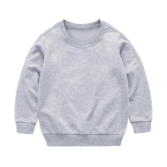 Toddler Kids Baby Boy Girl Long Sleeve Sweatshirt Casual Shirt Thin Pullover Infant Crewneck Sport Tops