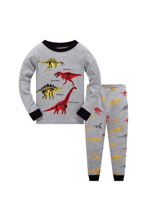 Toddler Kids Boys Outfits Cotton Dinosaur Loungewear T shirt Tops Pants Set T3 Boys Winter Clothes