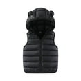 thumbnail image 1 of Toddler Kids Cotton Puffy Vests Boys Girls Quilted Vests Sleeveless Padded Jacket Coat with Cute Hood Dark Gray 12M, 1 of 3