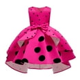 thumbnail image 1 of Toddler Kids Dresses Wedding Girls Pageant Gown Sleeveless Print Party Dot Princess Dress Girls Dress Skirt Weeding Guest Sundress For Child, 1 of 4