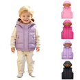 thumbnail image 1 of Toddler Kids Hooded Puffer Vest, Boys Girls Lined Sleeveless Jacket, Warm Zip Up Padded Waistcoat with Pockets for Fall Winter Outerwear(Purple,3-4 Years), 1 of 7