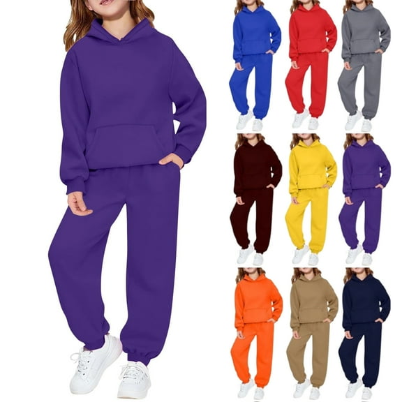 Toddler Kids Tracksuit Boys Girls 2 Piece Sweatsuit Jogging Outfits Jogger Sweatpants and Hooded Sweatshirt Clothing Sets,Purple 2-3 Years