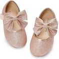 thumbnail image 1 of Toddler Little Girl Princess Dress Shoes-Mary Jane Flats for Girl Party School Shoes., 1 of 6