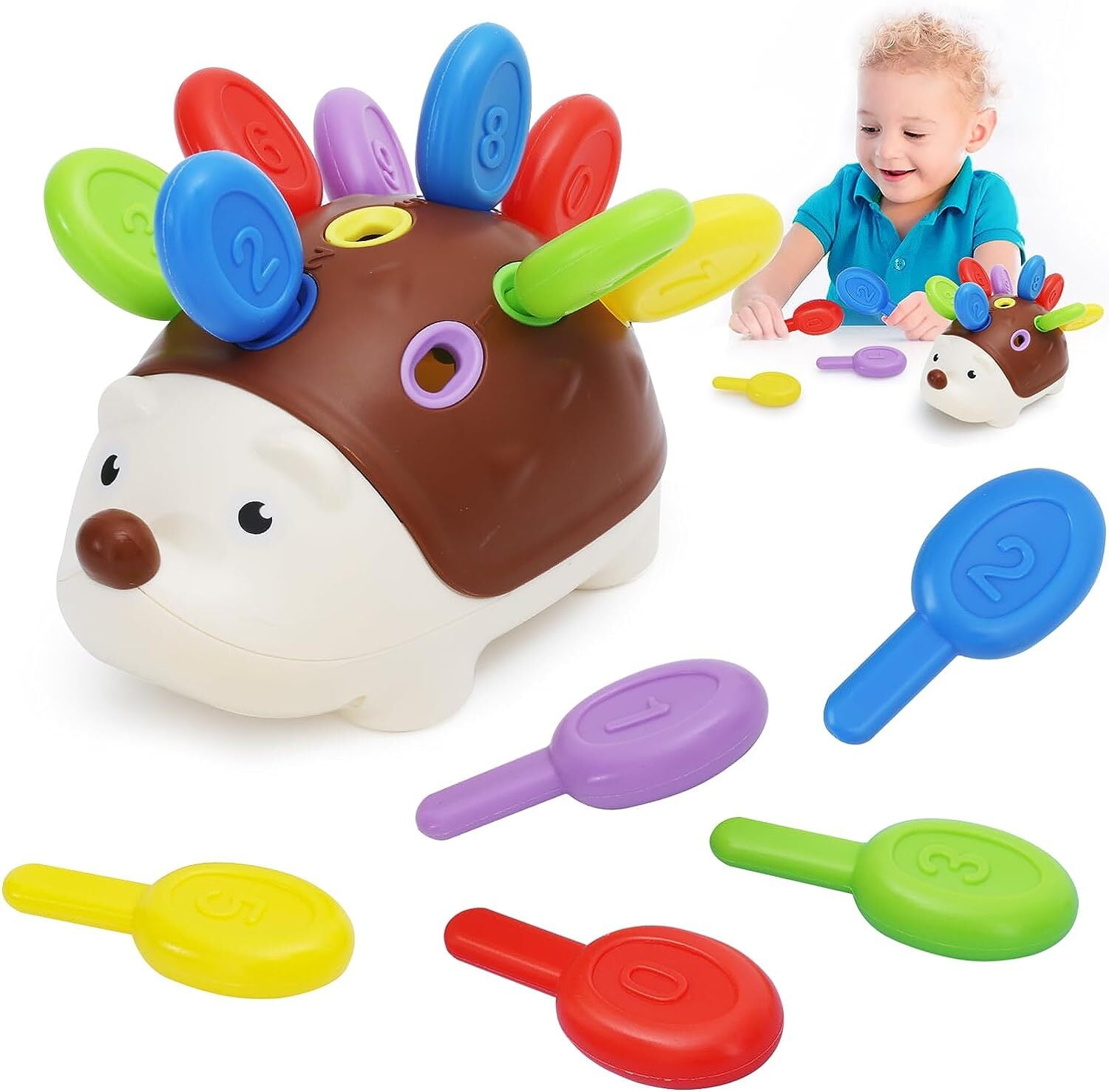 Toddler Montessori Sensory Educational Hedgehog Toys for 18 Month. Baby