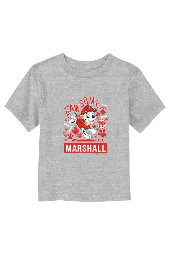 Toddler PAW Patrol Awesome Marshall T Shirt
