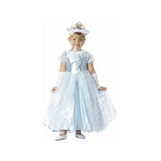 Cinderella costume 3t 2025