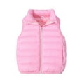 thumbnail image 1 of Toddler Puffer Down Vests Lapel Kids Baby Boys Girls Winter Quilt Skeeveless Coat Fashion Cute Solid Color Windproof Padded Hoodless Coat 8 Years, 1 of 5