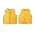 thumbnail image 1 of Toddler Puffer Vest Boys Girls Sleeveless Lightweight Down Jacket Solid Color Windproof Vests Button Soft And Comfort Outwear Crewneck Warm Coat Fall And Winter Outdoor Clothes, 1 of 4