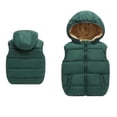 thumbnail image 1 of Toddler Puffer Vest Boys Vest Cute Hooded Jackets Thicken Windproof Zipper Warm Outwear Winter Warm Outwear Jacket Vest for Toddler 2-3 Years, 1 of 7